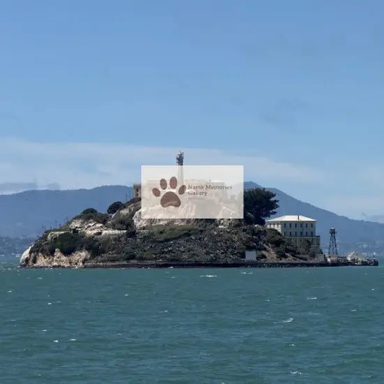 San Francisco Solitary Majestic Alcatraz Travel Digital Photo