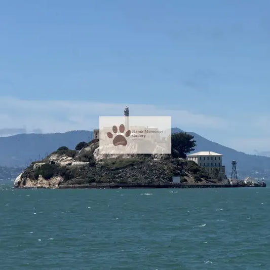 San Francisco Solitary Majestic Alcatraz Travel Digital Photo