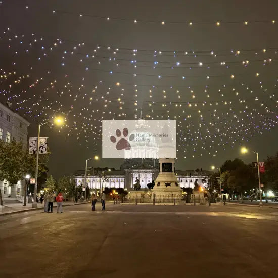 San Francisco Stunning Illuminated Lit Civic Center Travel Digital Photo