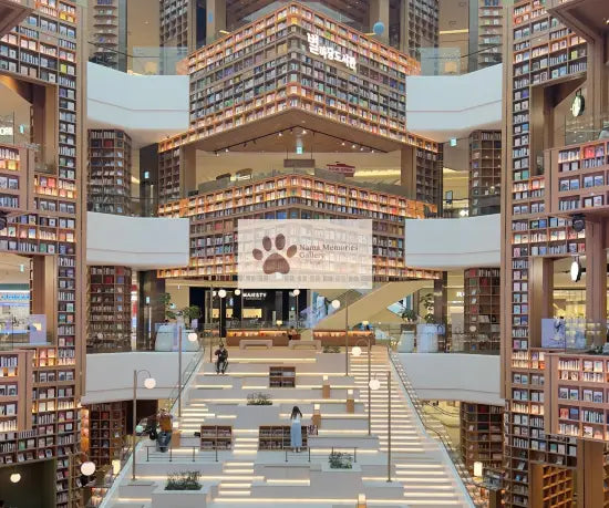 Seoul - Glimmering Starlight LIbrary