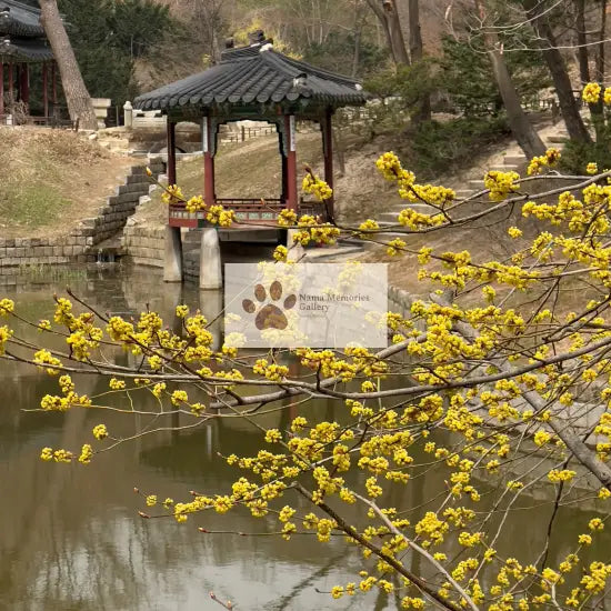 Seoul - Secret Garden