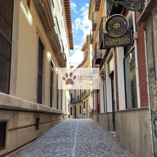 Spain - Granada | Alhambra - Ancient Passages - Digital Photo Download