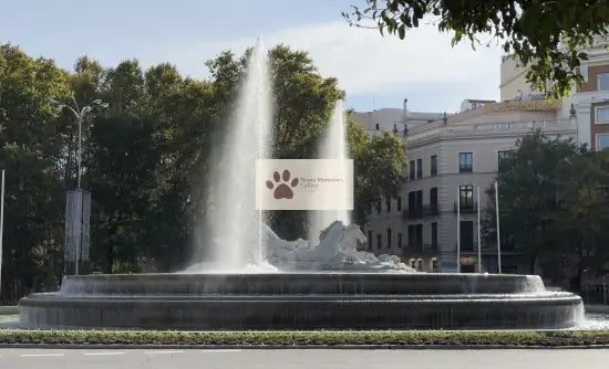 Spain - Madrid’s Fountain of Neptune - Peaceful Moment - Digital Photo