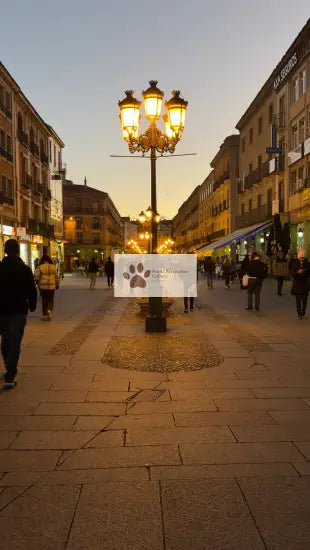 Spain - Segovia - Charming Night - Digital Photo