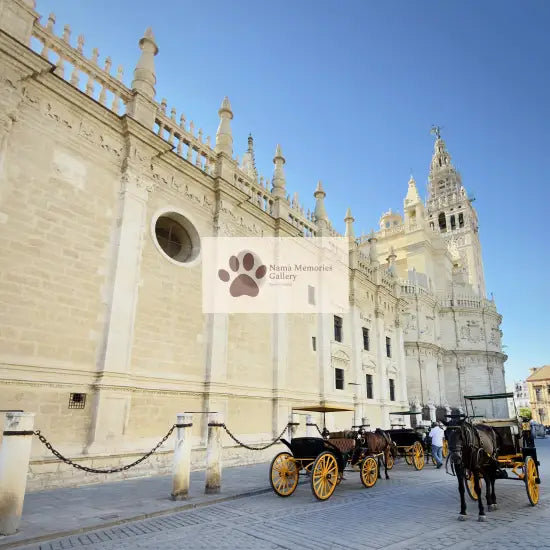 Spain - Seville - Majestic Cathedral Square - Digital Photo Download