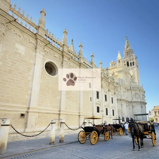 Spain - Seville - Majestic Cathedral Square - Digital Photo Download