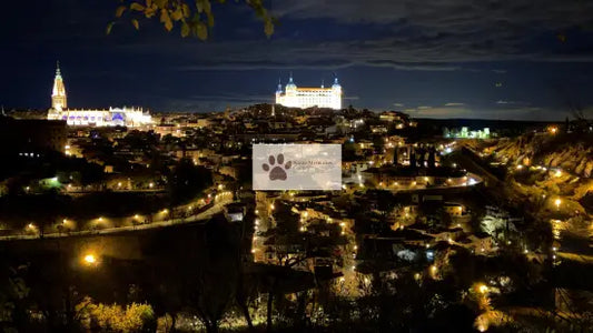 Spain - Toledo - Illuminated Skyline - Digital Photo
