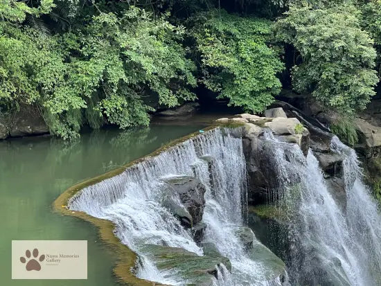 Taipei - Silky Shifen Waterfall