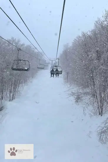 Tremblant Skiing - Dreamy Snowy Lift